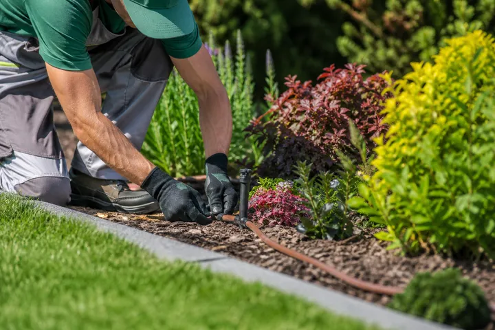 Technician repairing sprinkler irrigation near a garden bed